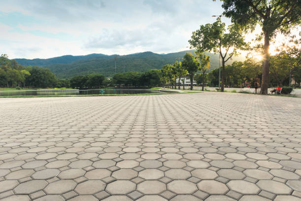 Best Driveway Pavers Near Me  in Andale, KS